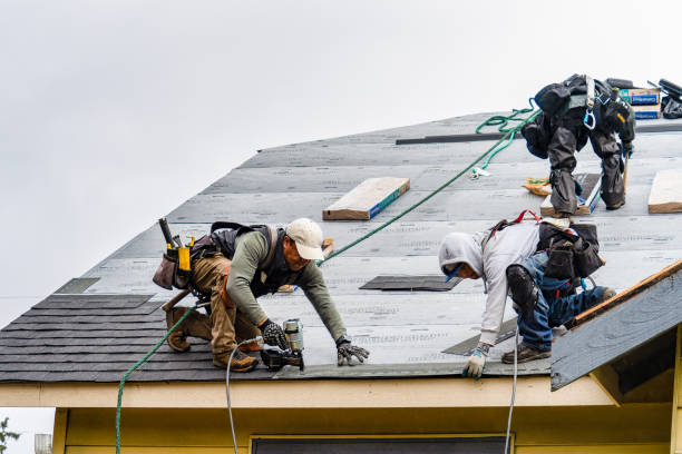 Professional Gutter Installation technician working in Mcintosh, MN